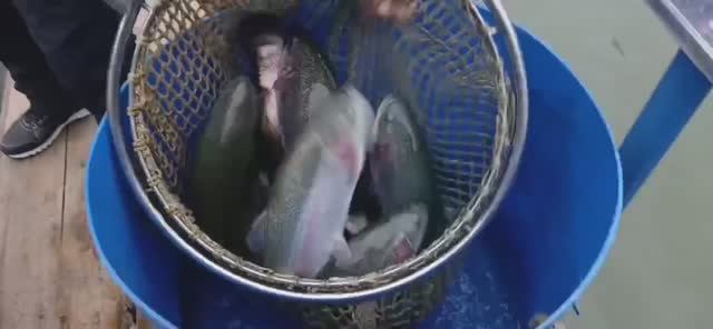 2320528486474568207