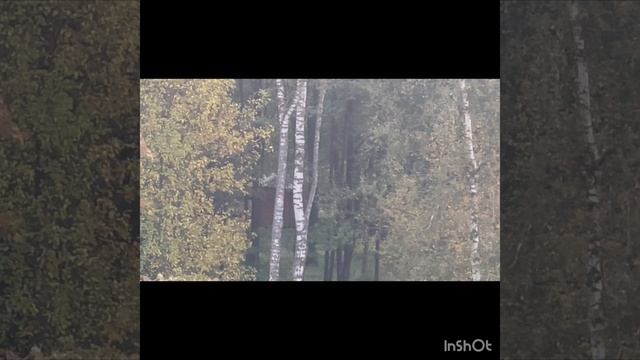 Когда утро доброе ! Тишина , птицы и больше никаких звуков !!