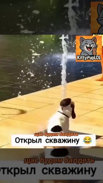 1000052223.mp4