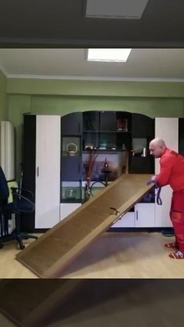 Прикольные видео