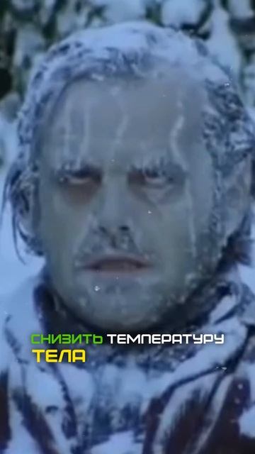 Как продлить жизнь холодом?