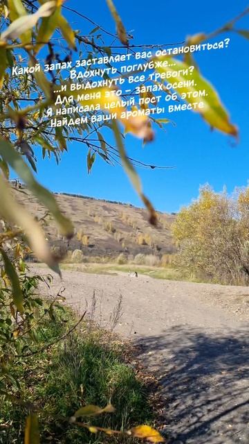 Какой запах заставляет вас остановиться?