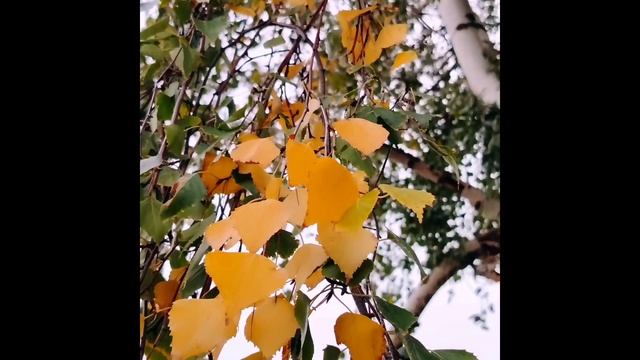 День без заката  27 сентября