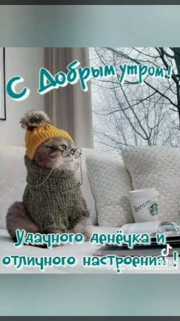 Доброе утро