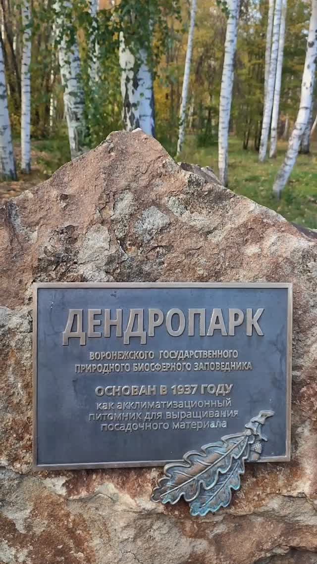 Волшебная осень в дендропарке Воронежского биосферного заповедника