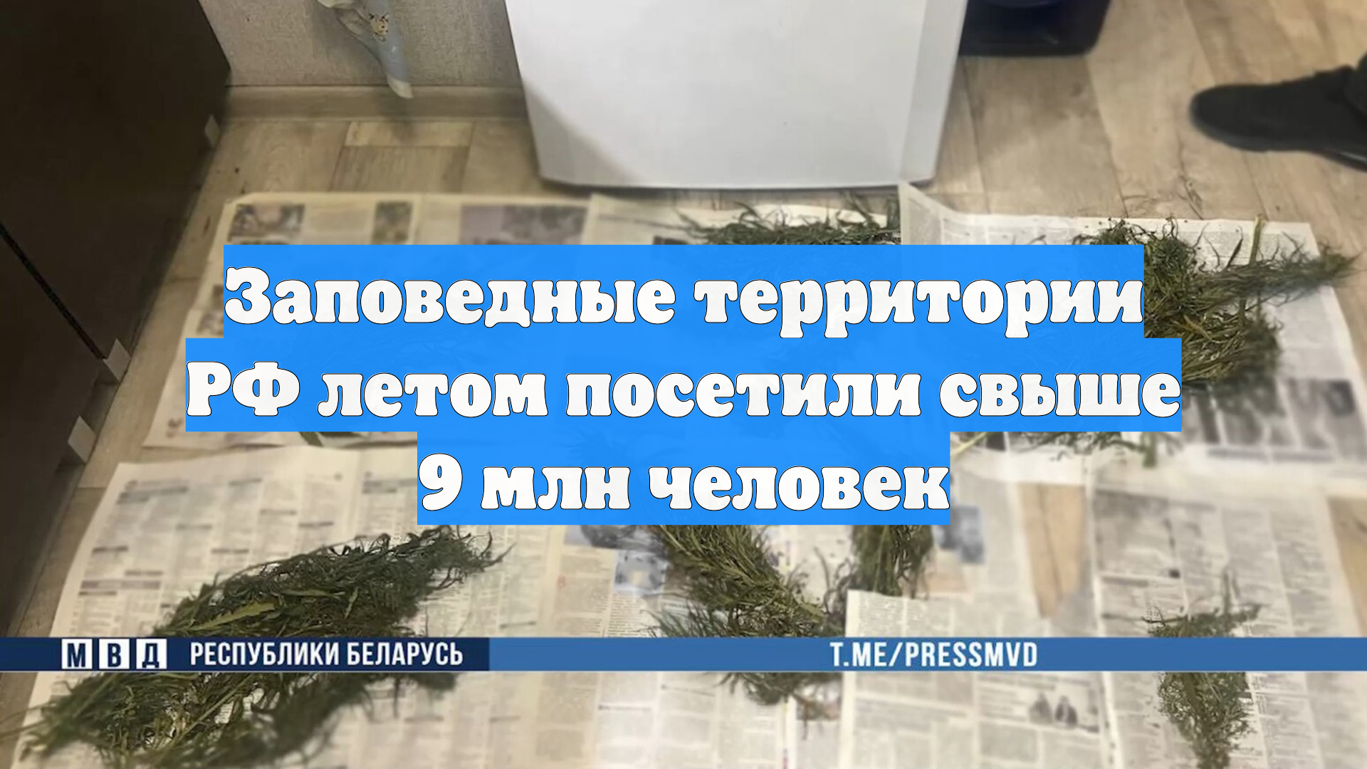 Заповедные территории РФ летом посетили свыше 9 млн человек