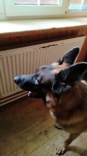 Дон
