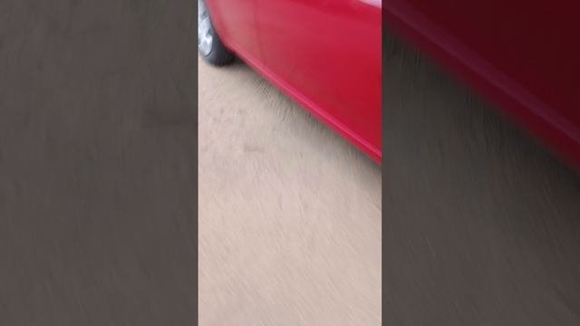 Стёпа следили