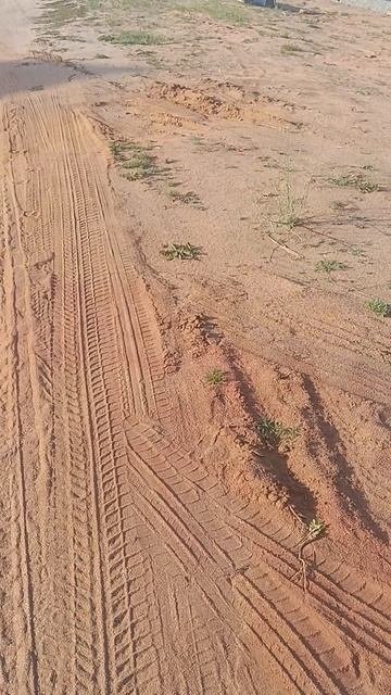 ПОМОГИТЕ ПОЖАЛУЙСТА НАЙТИ ЩЕНКА