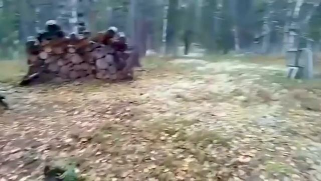 1000087087.mp4