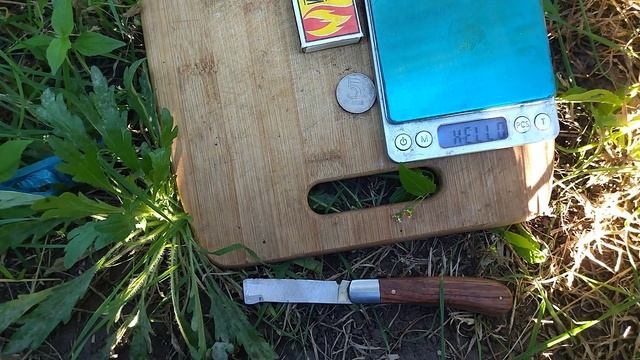 Гф Ванька селекции Калугина В. М с плотной мякотью и красивой гроздью.