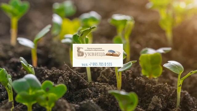 Буквица_5-9кл_2025-2026. Семейное образование. Домашняя школа. Онлайн обучение. Живые уроки.