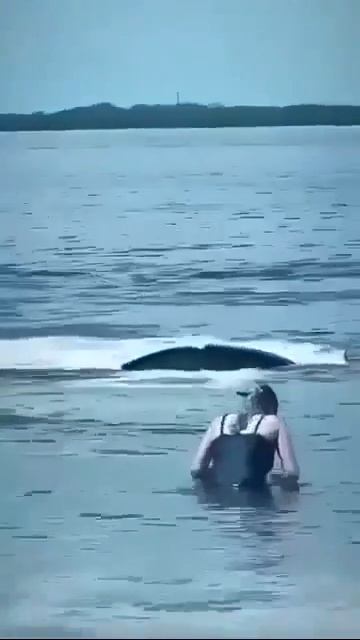 Видео от HackAvto  Лайфхаки и фишки для авто