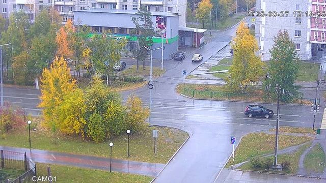 С первым снегом друзья