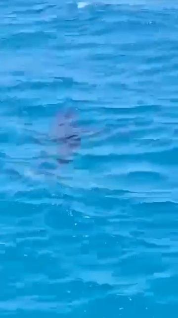1000099558.mp4
