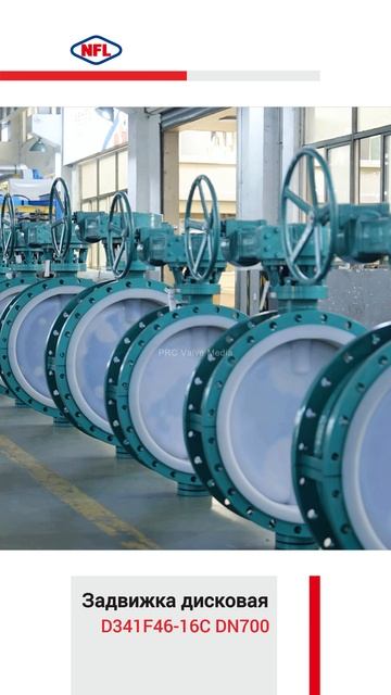 D341F46-16C DN700 Задвижка дисковая -NFL