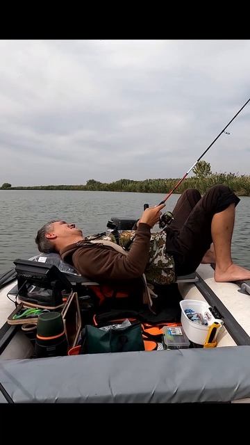 Рыбалка на расслабоне!!! Хищник на реке Маныч не напрягаясь  рыбалка маныч ловляокуня фишмир 