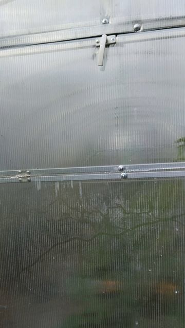 Классная функция в теплице Агросфера! 👍💥Скоро будет много тыквы и кабачков👍💥💥💥