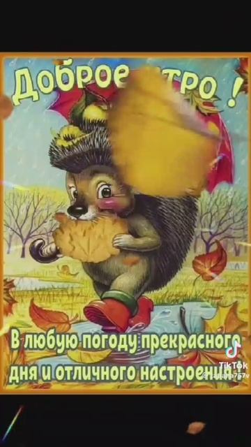 Доброе утро