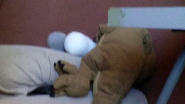 что делает ани