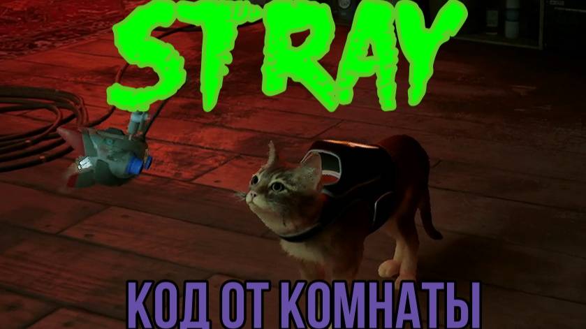 Stray. Прохождение .Поговорите с Шеймусом, код от комнаты