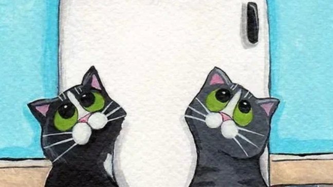 котэрвин