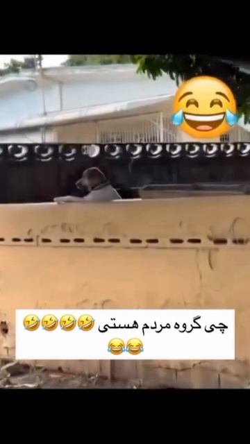 1000082589.mp4