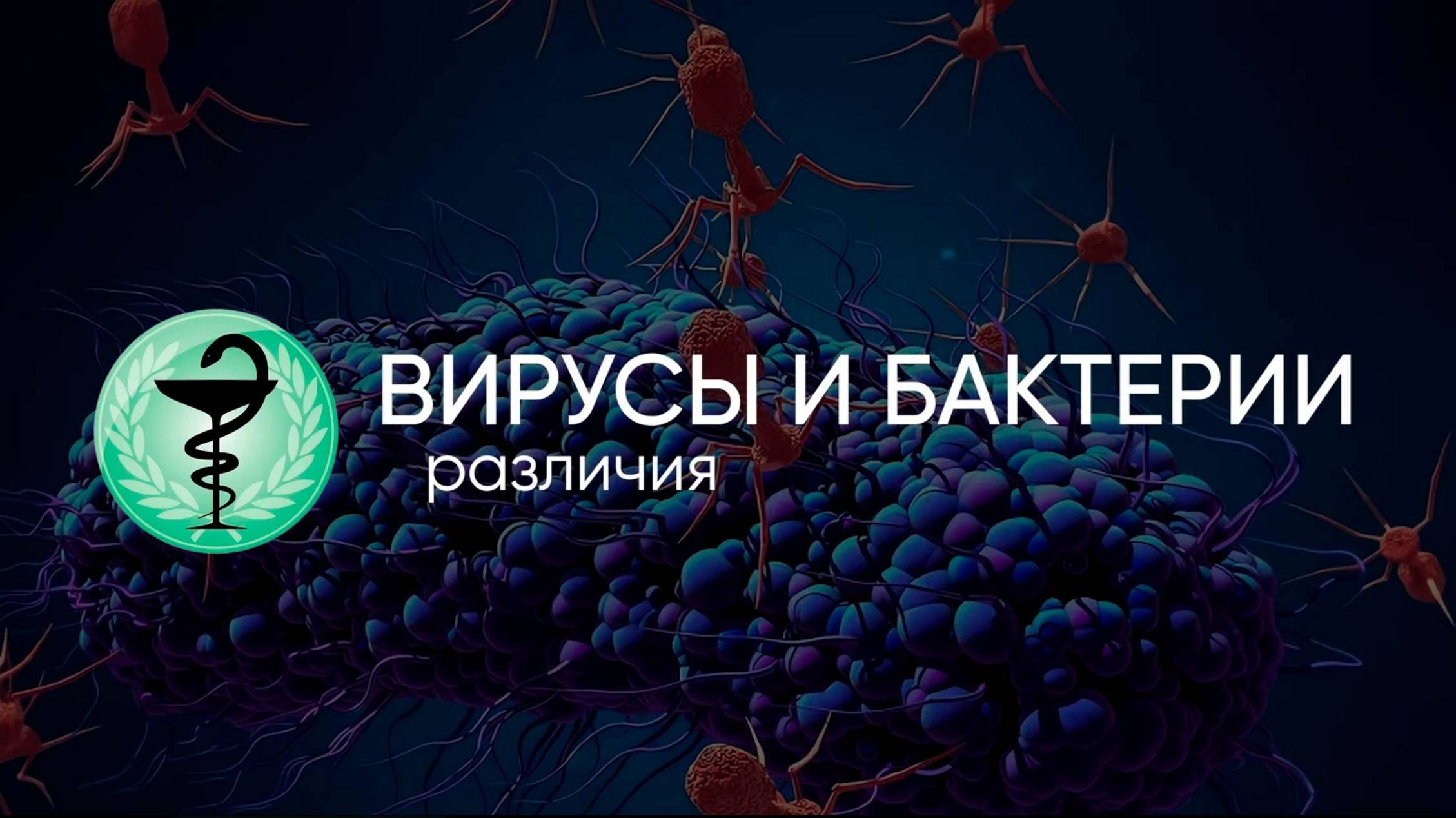 Вирусы и бактерии. В чём различия?
