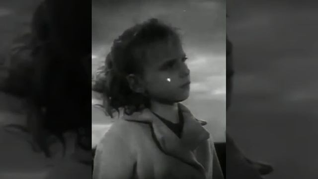 Не купить...