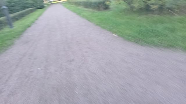 10565.mp4