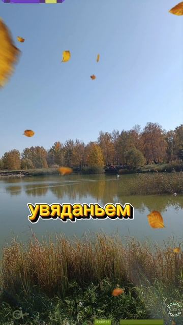 #Осень. #Сергей #Есенин - Не жалею, не зову, не плачу...Все пройдет, как...(deep) Такая вот осенняя