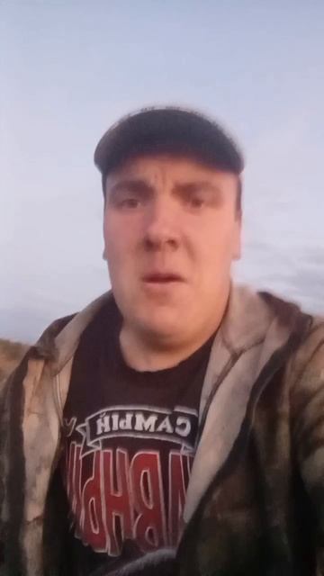 На помойке телефон потерял.mp4