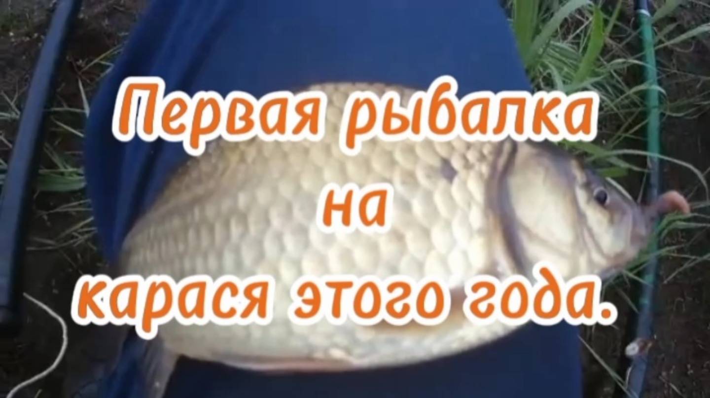 Первая рыбка на карася.2025
