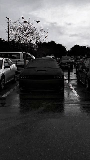 NISSAN SKYLINE Отдыхает