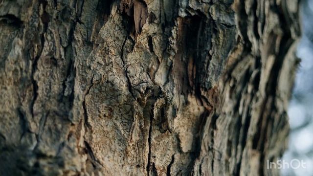 Рисование не мой талант