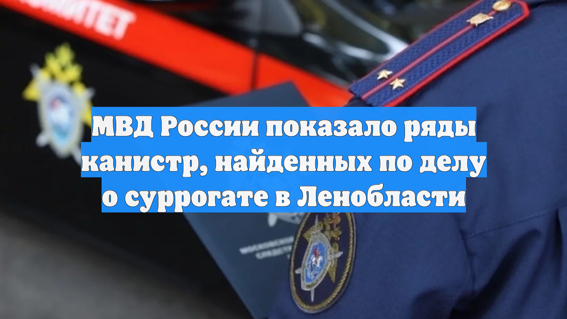 МВД России показало ряды канистр найденных по делу о суррогате в Ленобласти