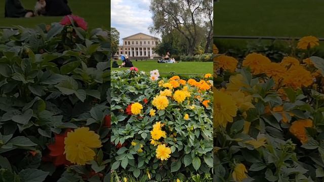 Наслаждаемся осенним Петербургом