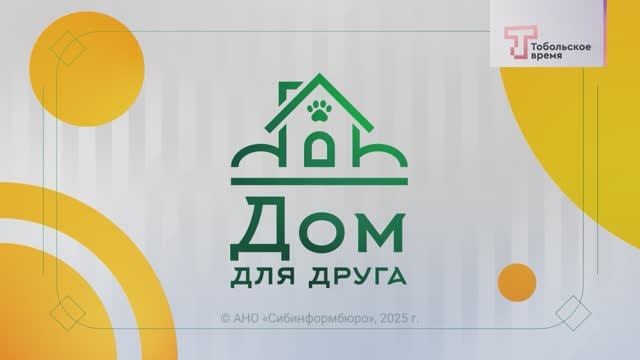 ДОМ ДЛЯ ДРУГА - ВЫПУСК 74