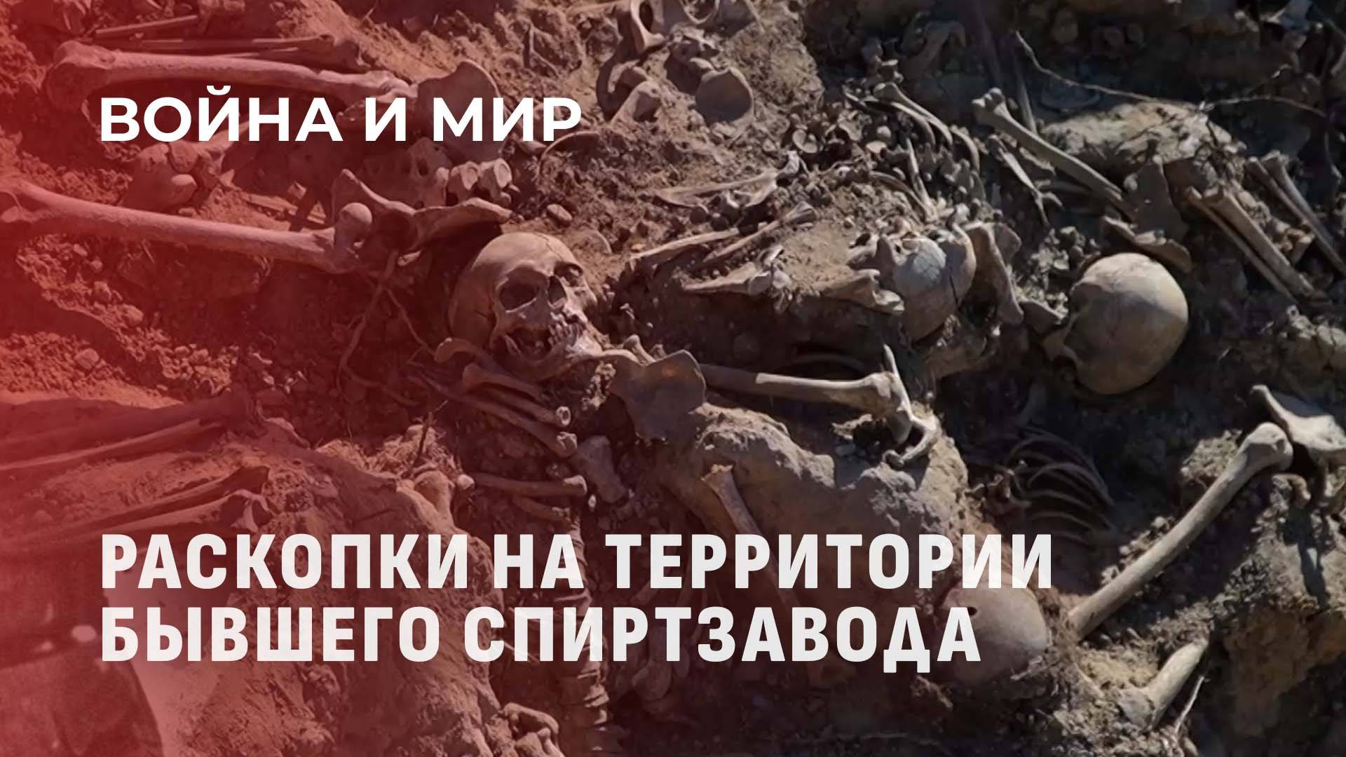 Раскопки на территории бывшего спиртзавода. Как фашисты в местечке Атечизна расстреляли людей?