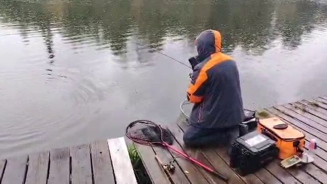 Форелька на резину