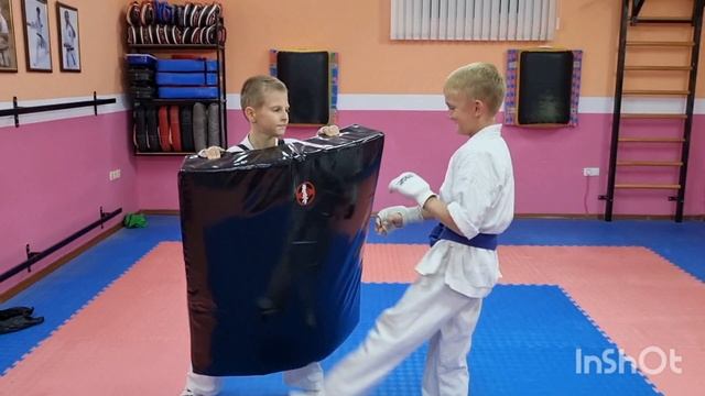 Трудовые будни каратиста каратиста 234.