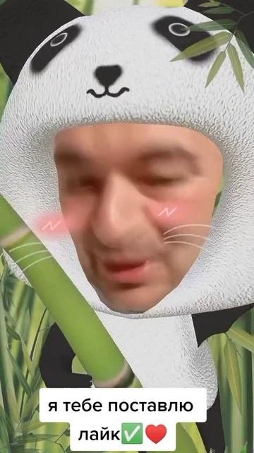 приколы от Ильсура.