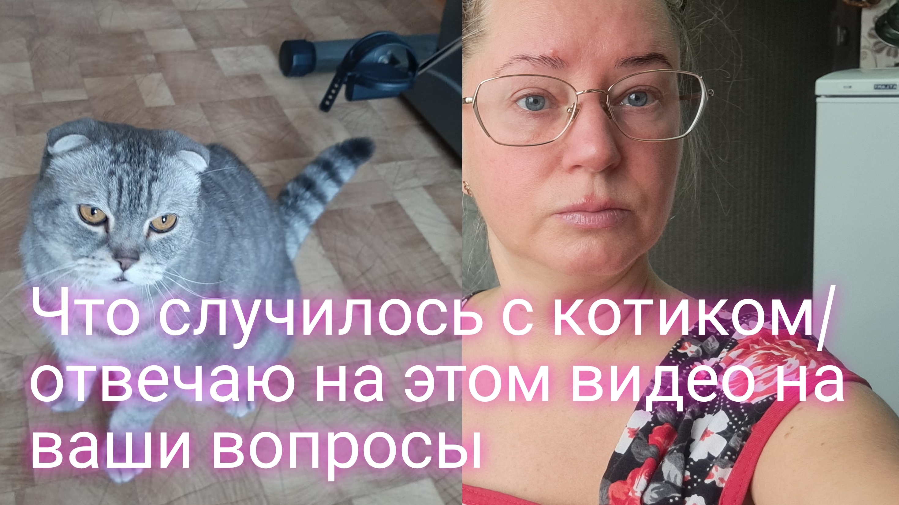 Что случилось с котиком/ отвечаю один раз всем