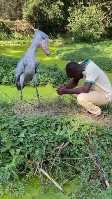 Поговорим брат☺️😉😊