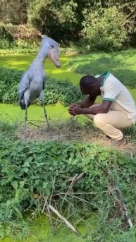 Поговорим брат☺️😉😊