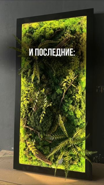 Картины ДО и ПОСЛЕ