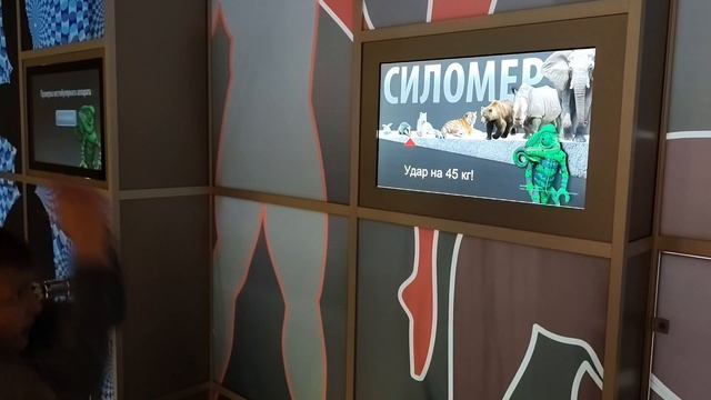 28.09 Воробьёвы горы зиплайн канатка Музей Дарвина