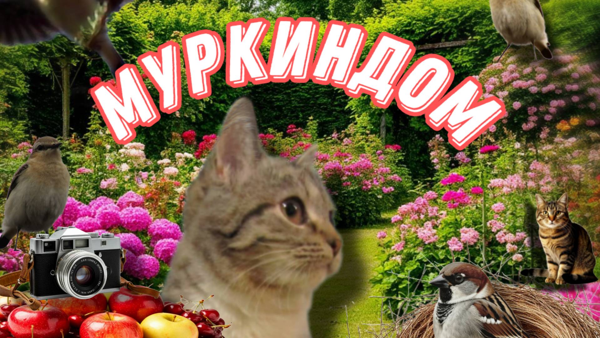 Осенние хлопоты