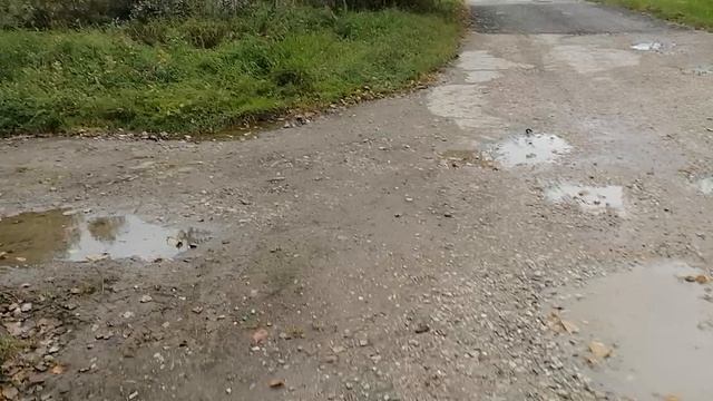 28.09.2025.Д.Благое. ГО Домодедово.Обзор Обращение к Мосавтодор МО, Минавтотранс МО, РУАД №4 ГО Домо