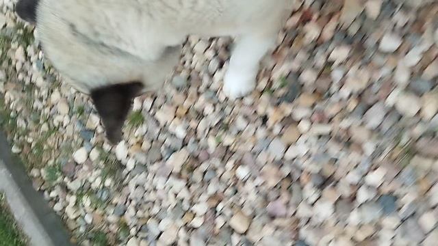 1000216449.mp4